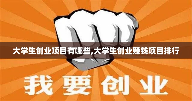 大学生创业项目有哪些,大学生创业赚钱项目排行