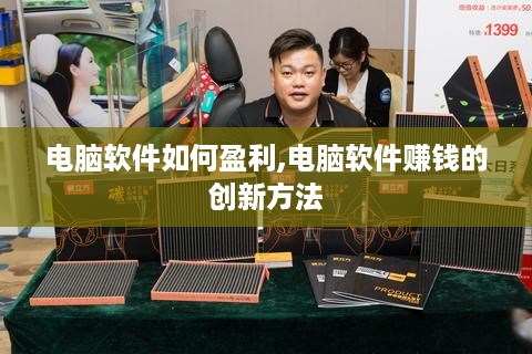 电脑软件如何盈利,电脑软件赚钱的创新方法