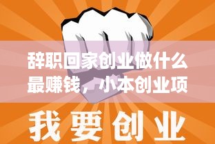 辞职回家创业做什么最赚钱，小本创业项目推荐