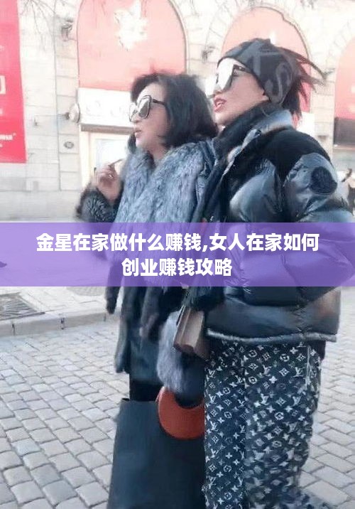 金星在家做什么赚钱,女人在家如何创业赚钱攻略