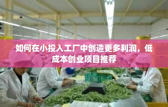 如何在小投入工厂中创造更多利润，低成本创业项目推荐