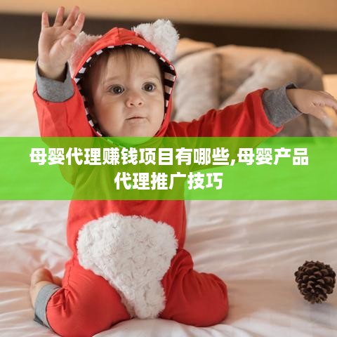 母婴代理赚钱项目有哪些,母婴产品代理推广技巧