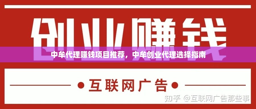 中牟代理赚钱项目推荐，中牟创业代理选择指南