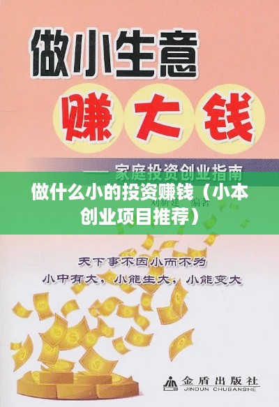 做什么小的投资赚钱（小本创业项目推荐）