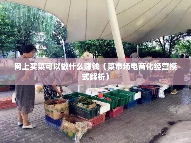 网上买菜可以做什么赚钱（菜市场电商化经营模式解析）