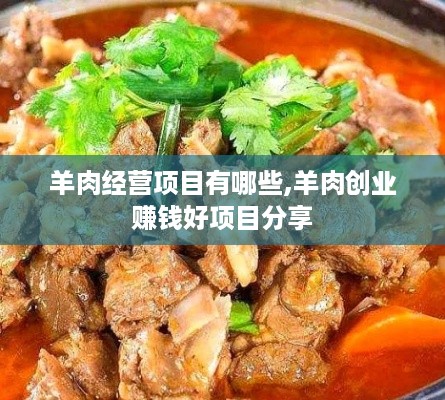 羊肉经营项目有哪些,羊肉创业赚钱好项目分享