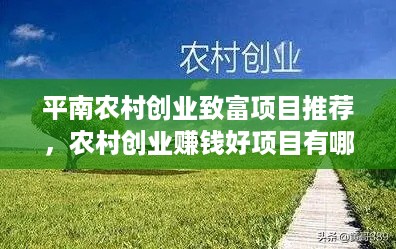 平南农村创业致富项目推荐，农村创业赚钱好项目有哪些