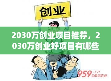 2030万创业项目推荐，2030万创业好项目有哪些