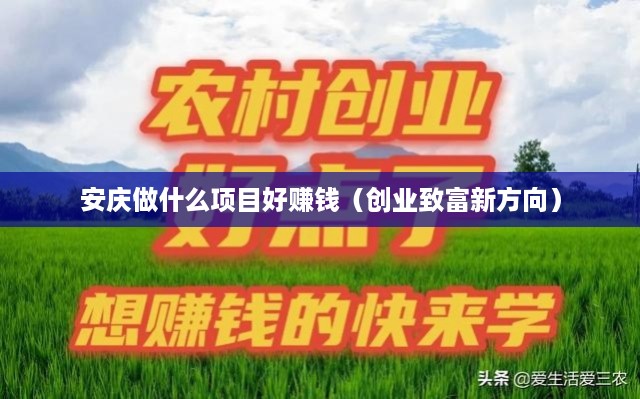 安庆做什么项目好赚钱（创业致富新方向）