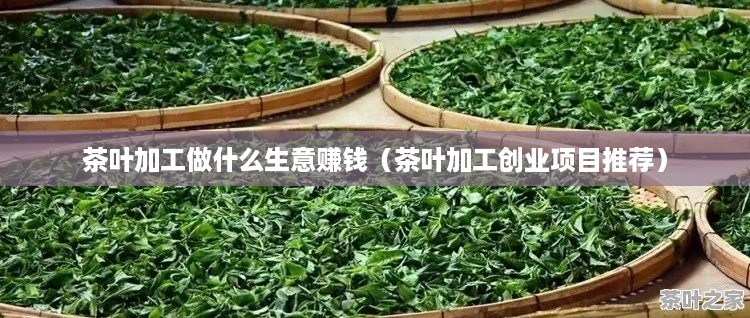 茶叶加工做什么生意赚钱（茶叶加工创业项目推荐）