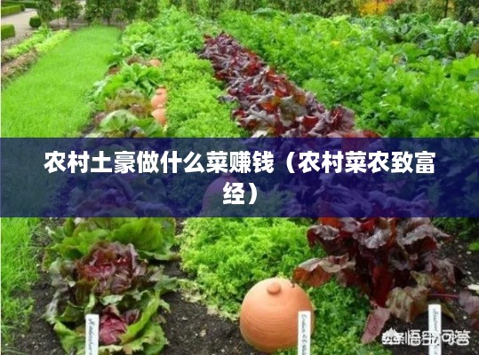 农村土豪做什么菜赚钱（农村菜农致富经）