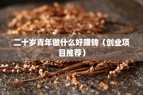 二十岁青年做什么好赚钱（创业项目推荐）