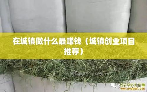 在城镇做什么最赚钱（城镇创业项目推荐）