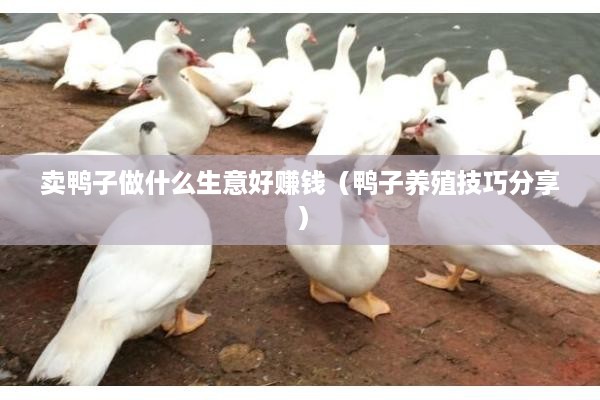 卖鸭子做什么生意好赚钱（鸭子养殖技巧分享）