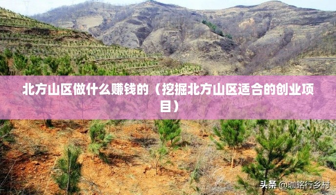 北方山区做什么赚钱的（挖掘北方山区适合的创业项目）