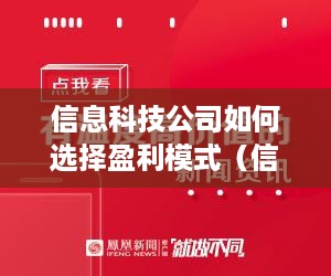 信息科技公司如何选择盈利模式（信息科技公司盈利模式选择指南）