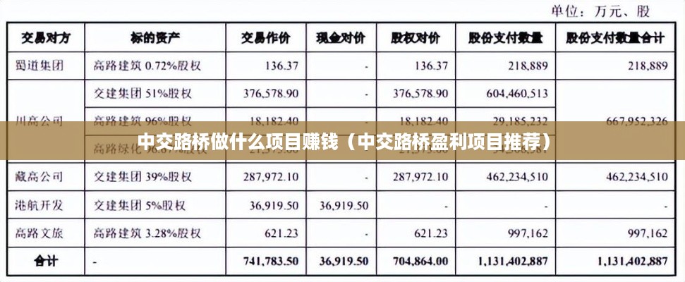 中交路桥做什么项目赚钱（中交路桥盈利项目推荐）