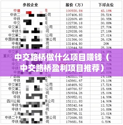 中交路桥做什么项目赚钱（中交路桥盈利项目推荐）