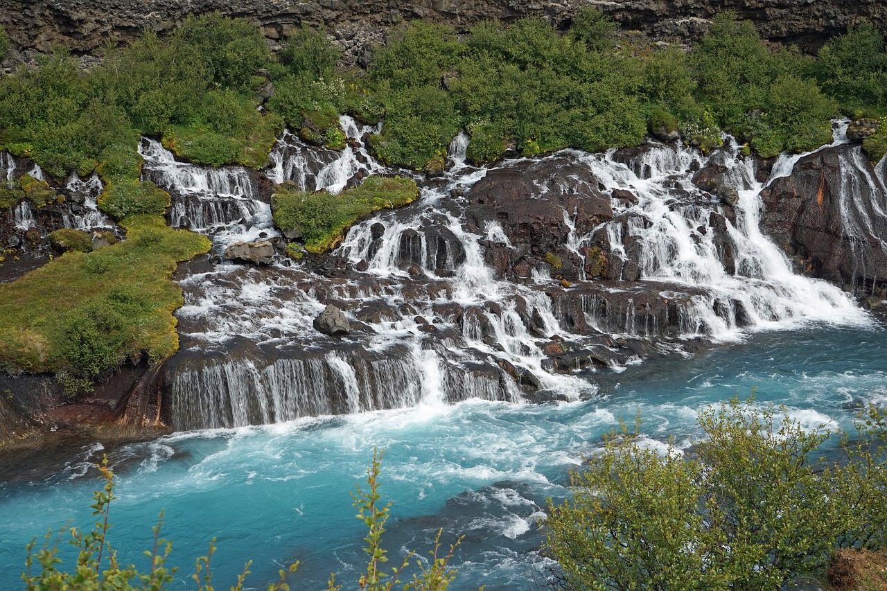 济南麋鹿森林加盟，一个充满魅力的旅游胜地